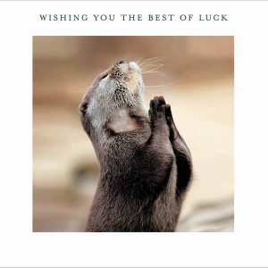 Good Luck – Photographic Otter