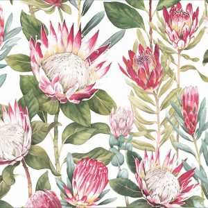 King Protea Watercolour