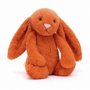 Bashful Tangerine Bunny (Medium)