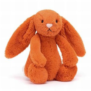 Bashful Tangerine Bunny (Small)