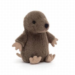 Nippit Mole