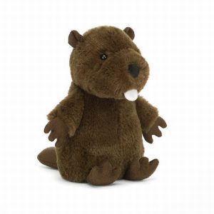 Nippit Beaver
