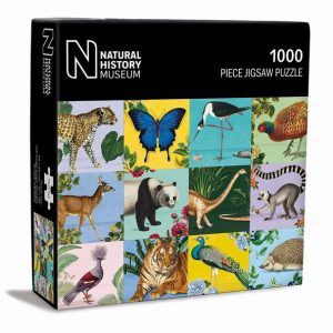 Wildlife Illustrations (1000)