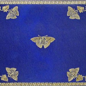 Gilded Butterflies Notecards