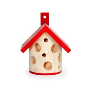 Little Ladybug House