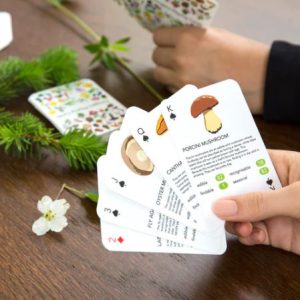 Foragers Playing Cards