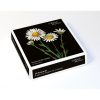 Flowers by Mary Delany