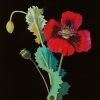 Flowers by Mary Delany - Image 3