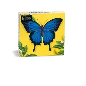 Ulysses Butterfly Notecards