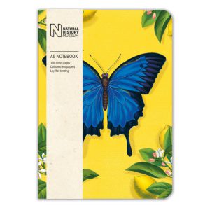 A5 Notebook – Ulysses Butterfly