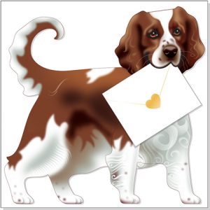 Bramble – Spaniel