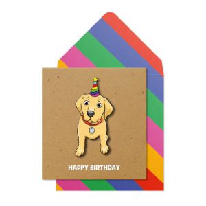 3D Party Hat Labrador