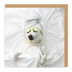 Pampered Pooch