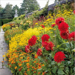 Flower Border at Cliveden