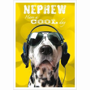 Nephew – Cool Day