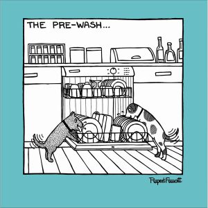 The Pre-Wash