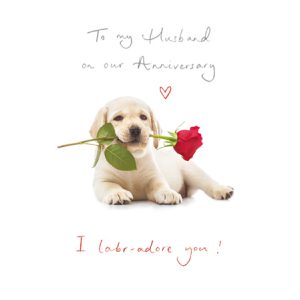 Anniversary – Husband  I  Labr-adore you!