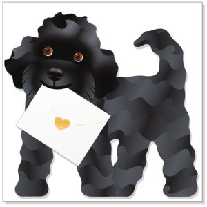 Jazzy – Black Dog