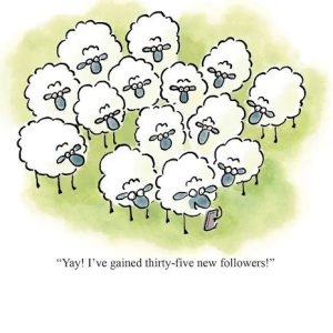 Sheep New Followers