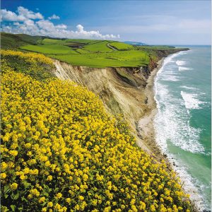 Compton Bay