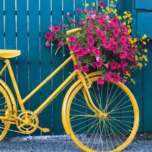 Ochre Floral Bicycle
