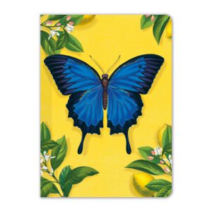 Mini Notebook – Ulysses Butterfly