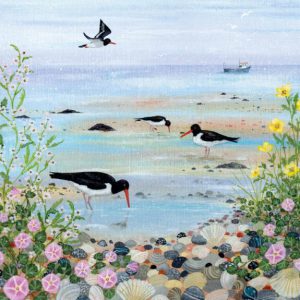 Oystercatchers