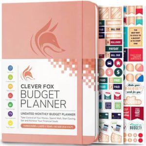 Budget Planner, Peach Pink