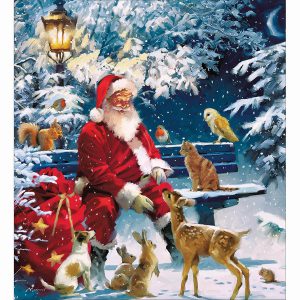 Santa and Friends – Pack of 5