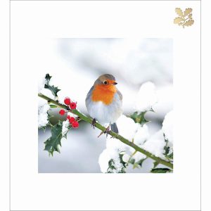 Winter Friend – Pack of 5