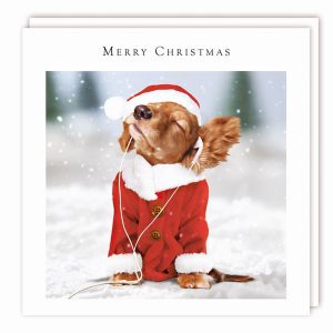 Pup and Tunes In Snow – Pack of 5