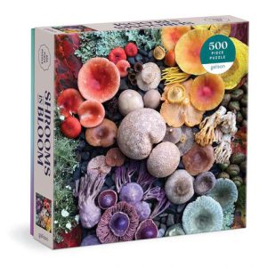 Shrooms in Bloom (500)