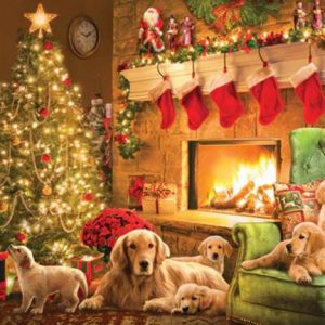 Cozy Fireplace (1000)