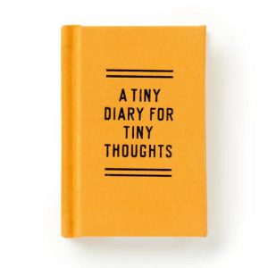 A Tiny Diary For Tiny Thoughts