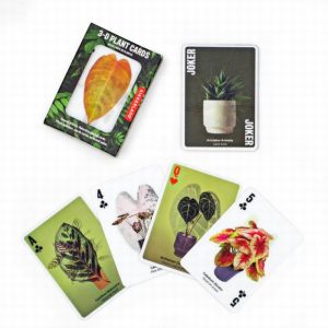 3-D Plant Cards