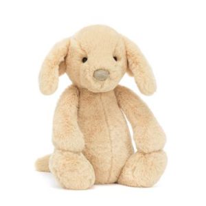 Bashful Luxe Puppy Orlando (Original)