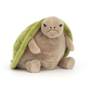 Timmy Turtle Big