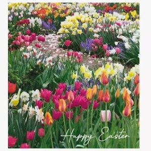 Front Yard with Spring Flowers – Pack of 5 Easter Cards