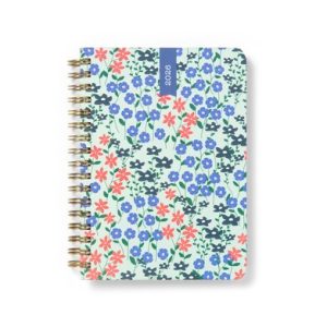 Spring Valley A6 Week to View Diary 2026