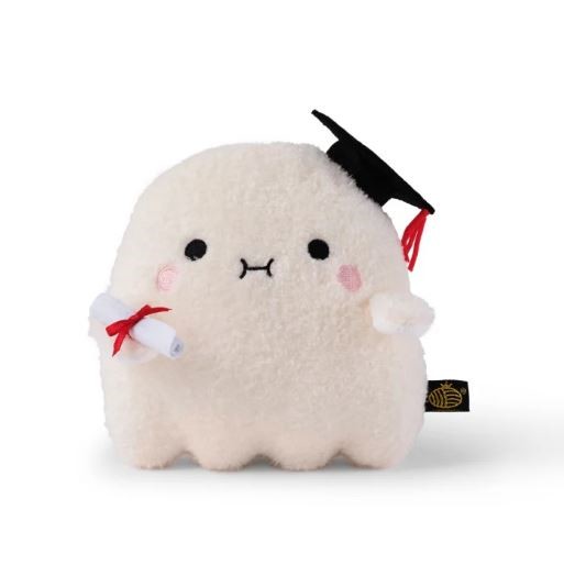 Riceboo Graduate Plush Toy (20cm)
