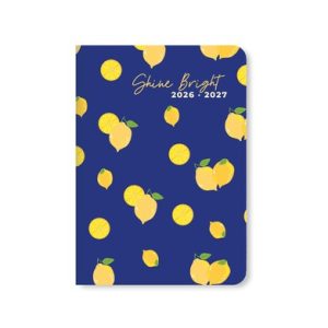 Citrus A6 Day to a Page Diary with Appointments 2026-2027