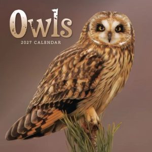 Animal Mini Wall Calendar (Various Designs)